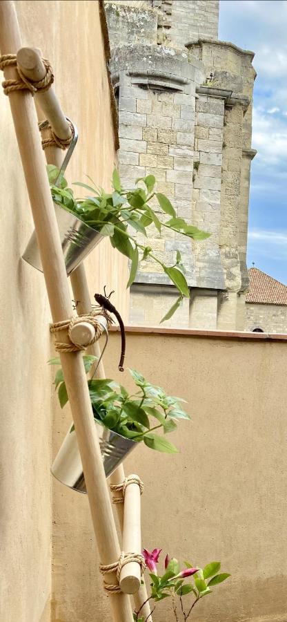 Trésors de la Cathédrale, Maison de Ville Narbona Esterno foto